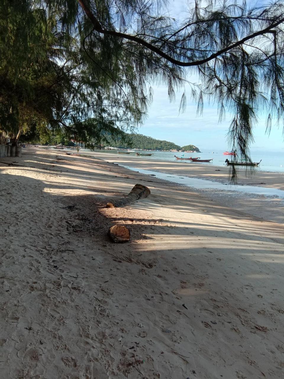 Prik Thai Resort เกาะเต่า ภายนอก รูปภาพ